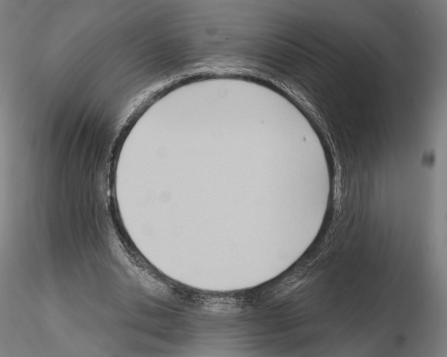 X0000114630438200912011028