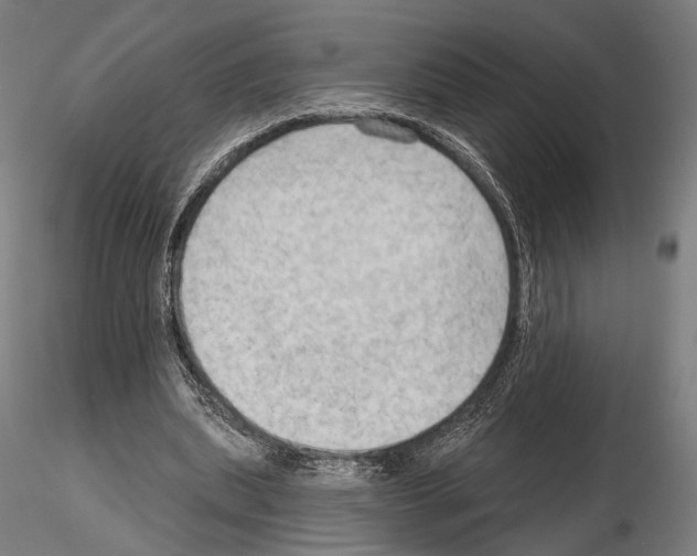 X0000114630439200912011028