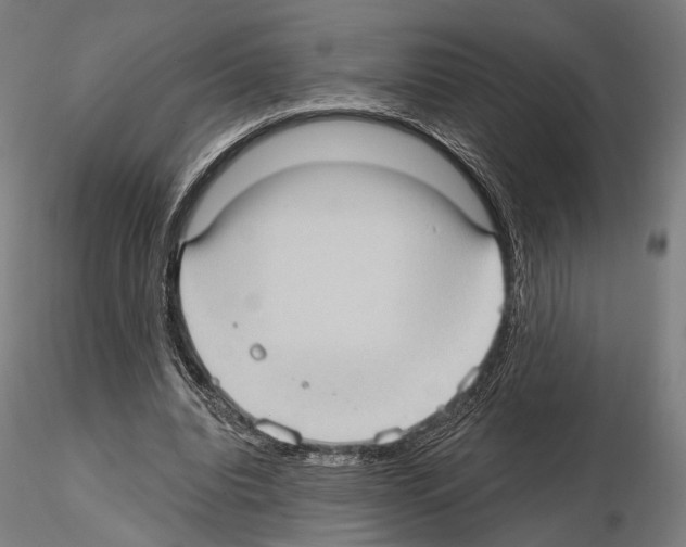 X0000114630440200912011028