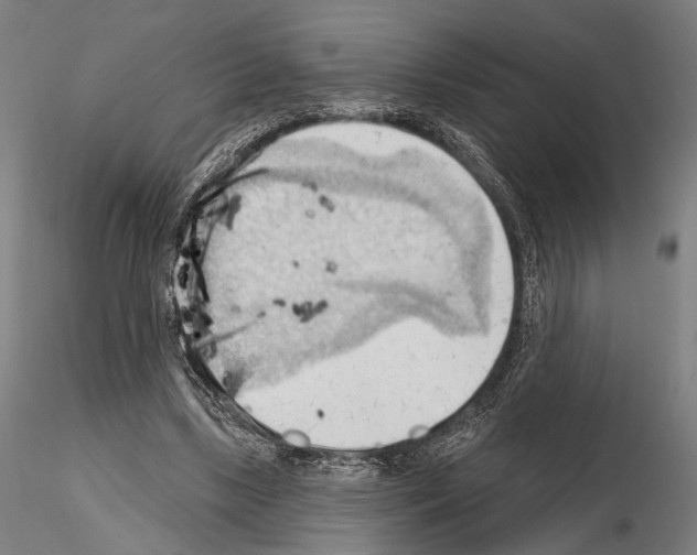 X0000114630443200912011028