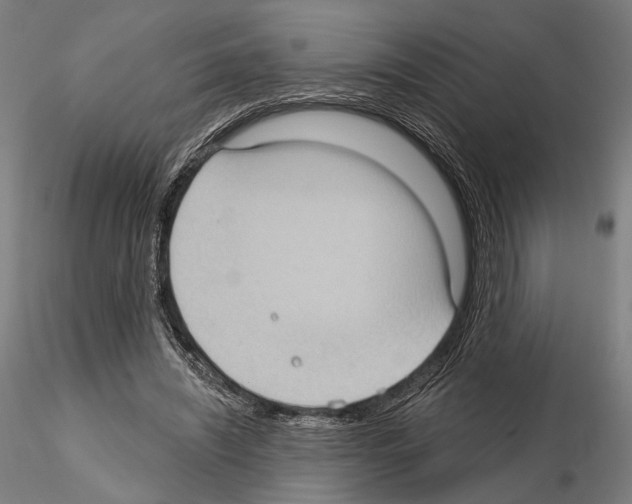 X0000114630444200912011028