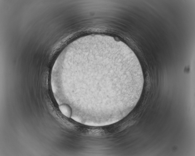 X0000114630446200912011028