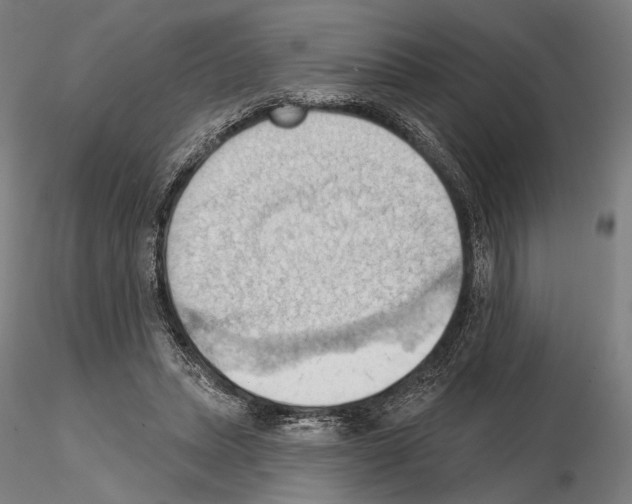 X0000114630447200912011028