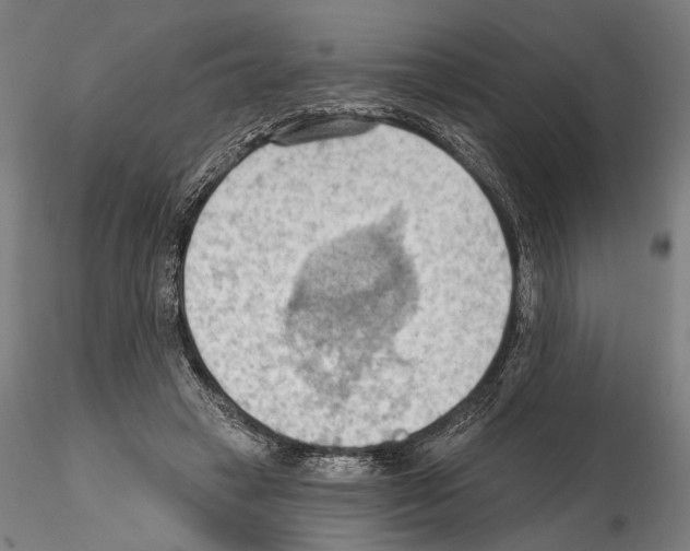 X0000114630449200912011028