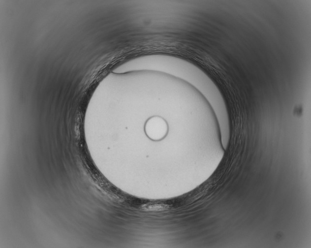 X0000114630452200912011028