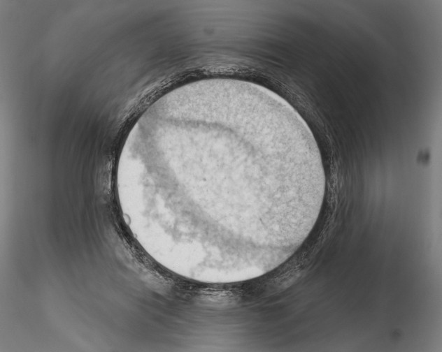 X0000114630454200912011028