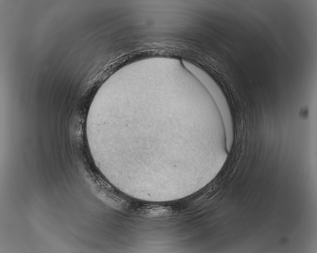 X0000114630456200912011028