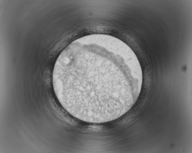 X0000114630457200912011028