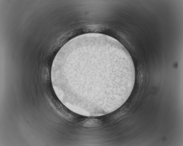 X0000114630459200912011028