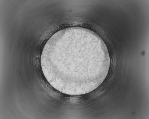 X0000114630462200912011029