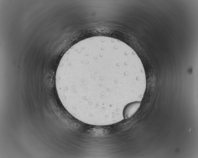 X0000114630464200912011029