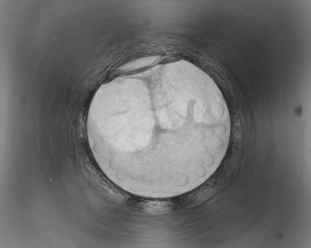 X0000114630465200912011029