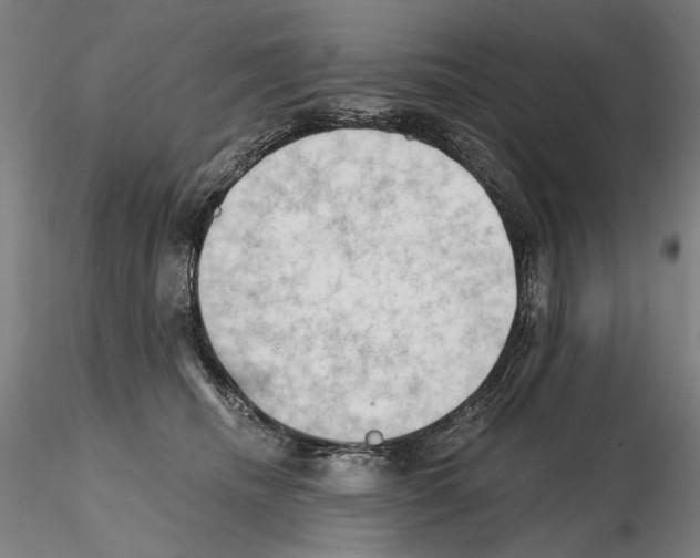 X0000114630468200912011029