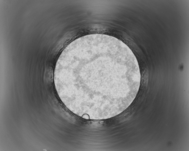 X0000114630474200912011029