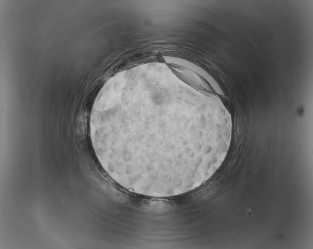 X0000114630475200912011029