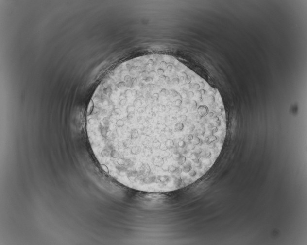 X0000114630478200912011029