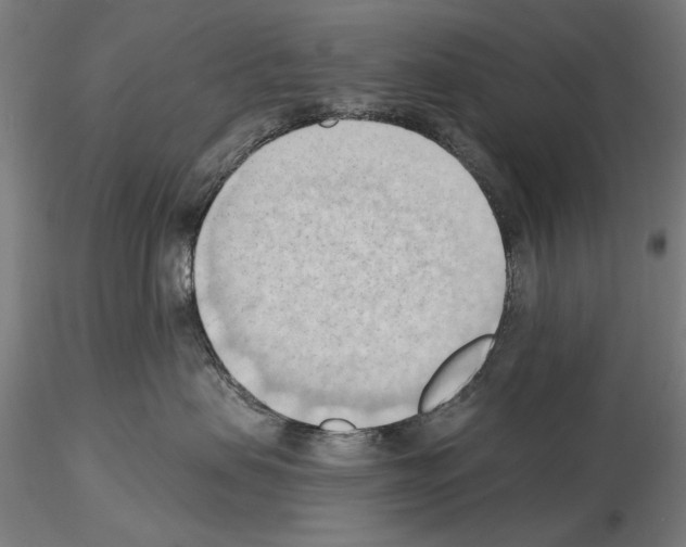 X0000114630479200912011029