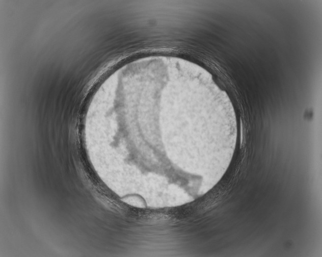 X0000114630483200912011028