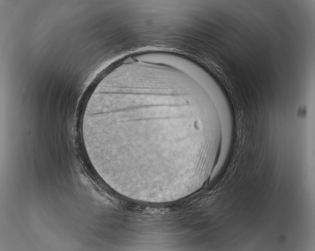 X0000114630484200912011028