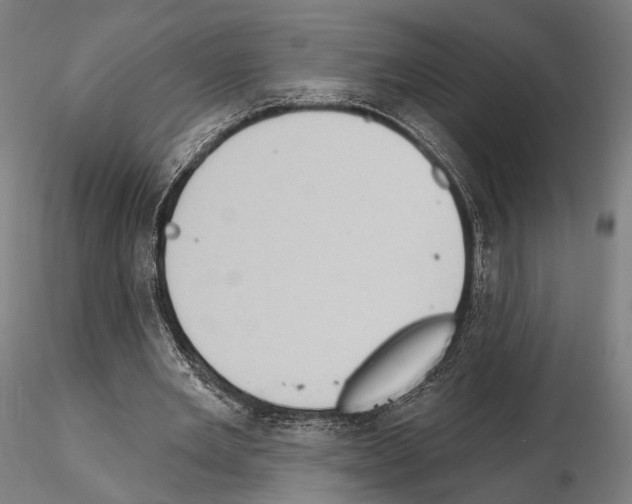 X0000114630485200912011028