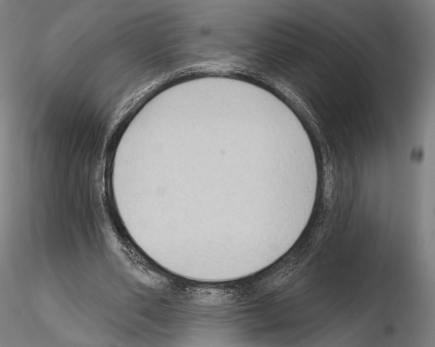 X0000114630486200912011028