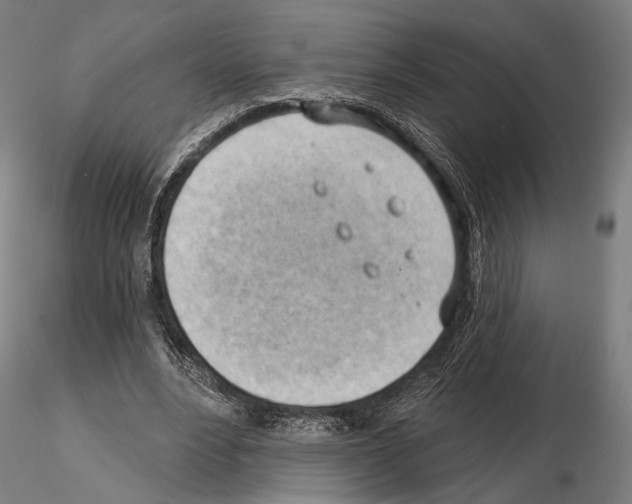 X0000114630488200912011028