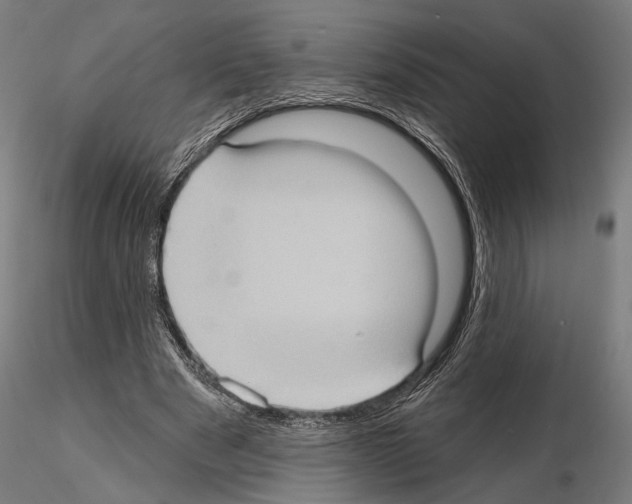 X0000114630489200912011028