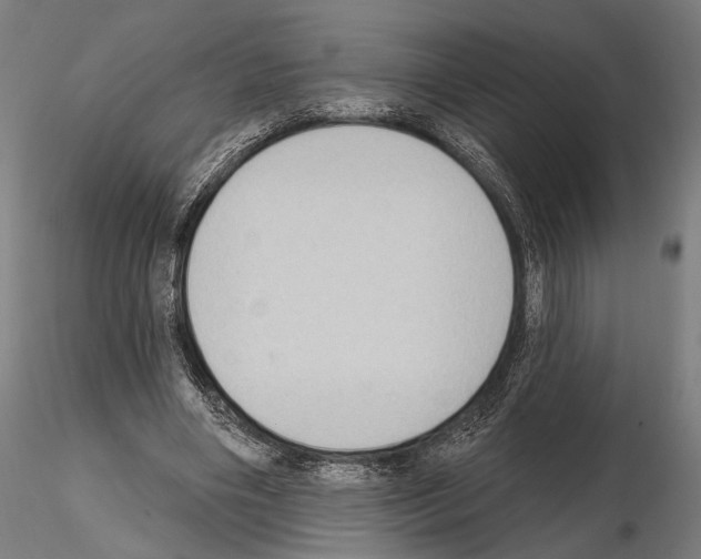 X0000114630490200912011028