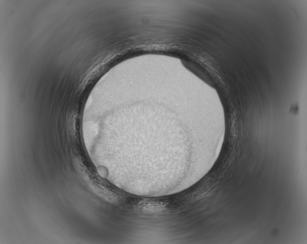 X0000114630491200912011028