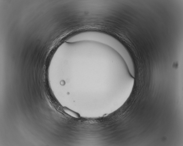 X0000114630492200912011028