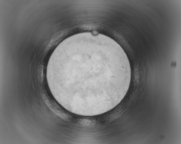 X0000114630494200912011028