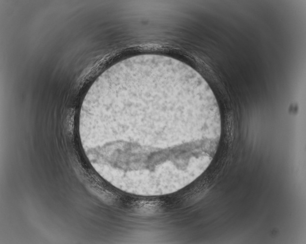 X0000114630495200912011028