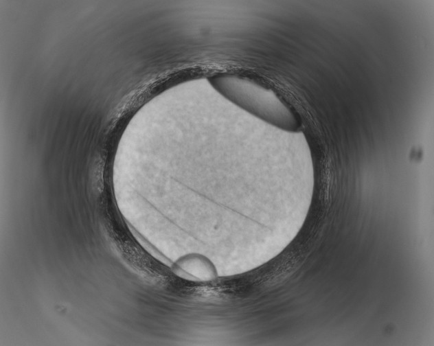 X0000114630496200912011028