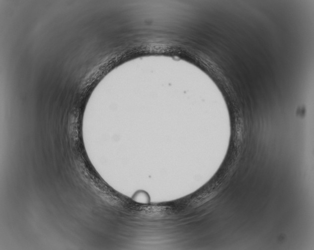 X0000114630497200912011028