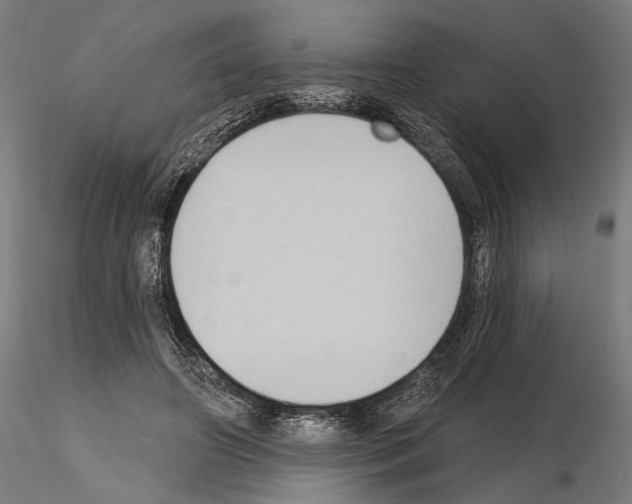 X0000114630498200912011028