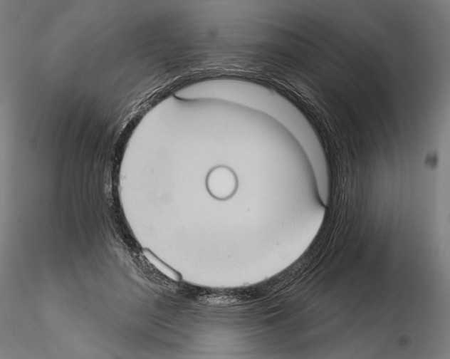 X0000114630500200912011028