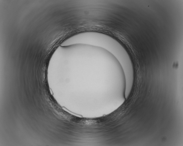 X0000114630501200912011028