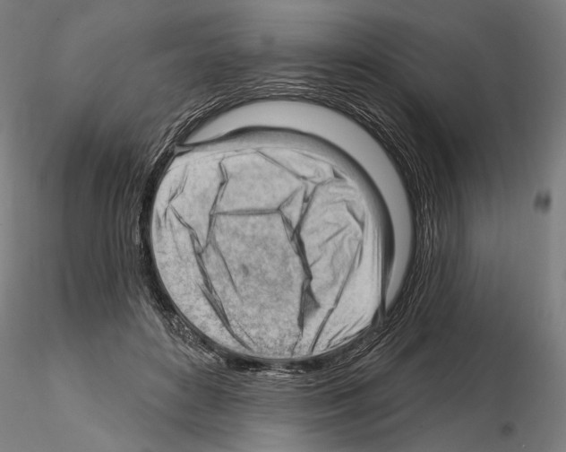 X0000114630504200912011028