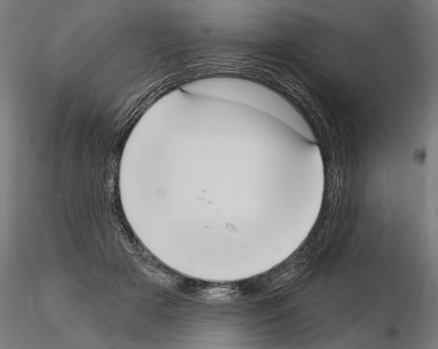 X0000114630505200912011028