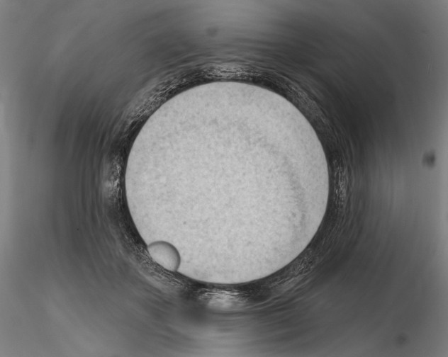 X0000114630507200912011028