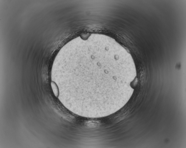 X0000114630508200912011028