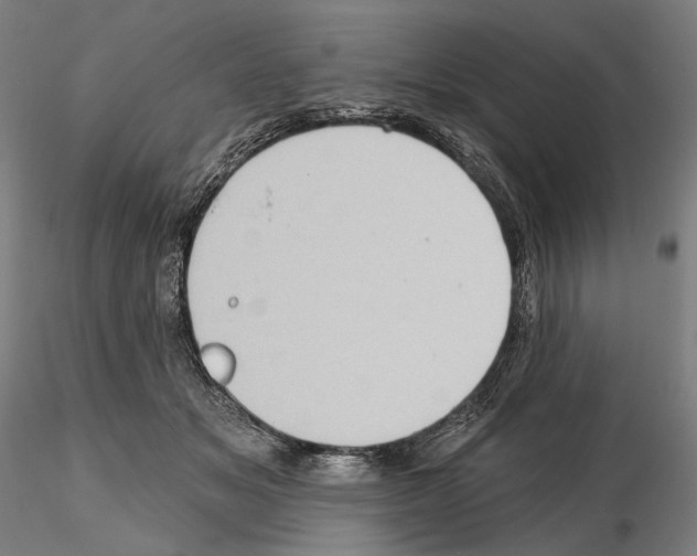 X0000114630509200912011028