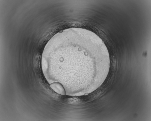 X0000114630511200912011028