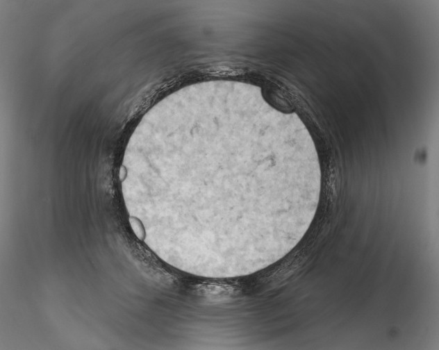 X0000114630512200912011028