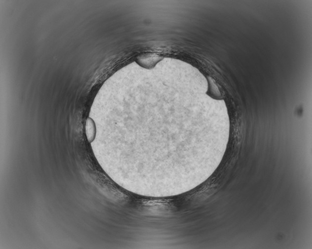 X0000114630516200912011028