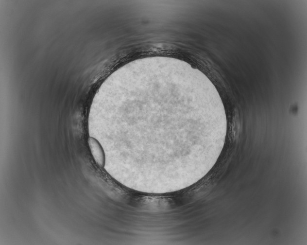 X0000114630520200912011028