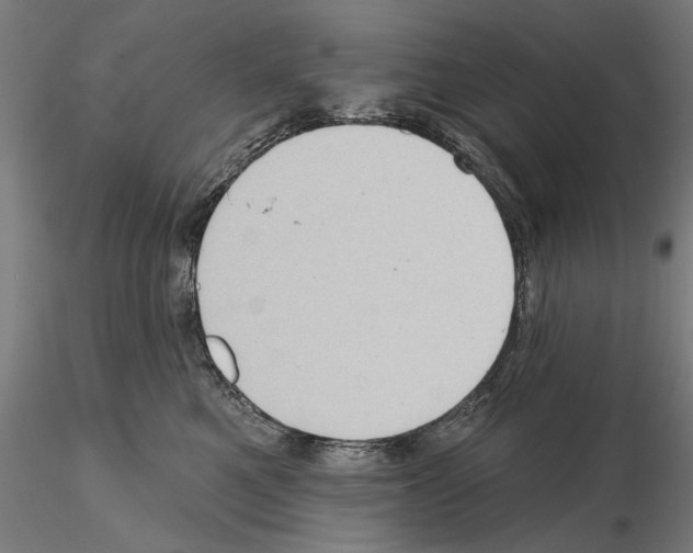 X0000114630521200912011028