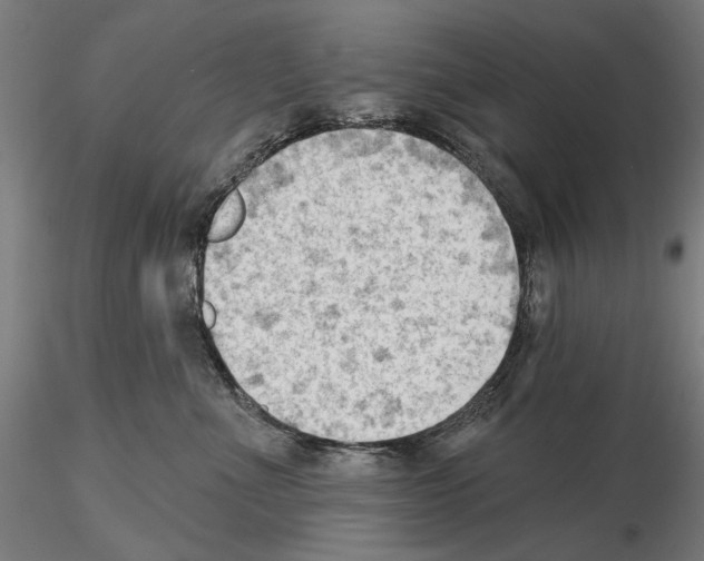 X0000114630523200912011028