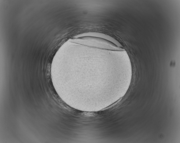 X0000114630528200912011027