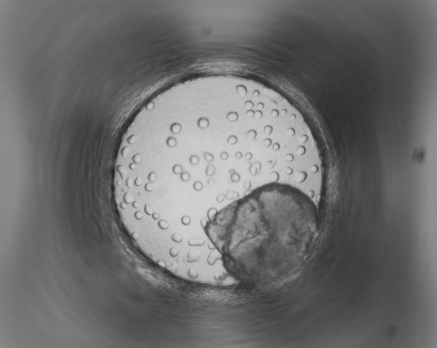 X0000114630529200912011027